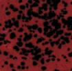 1589240_1.jpg