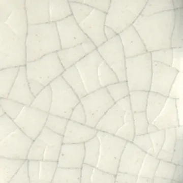 1589241.jpg