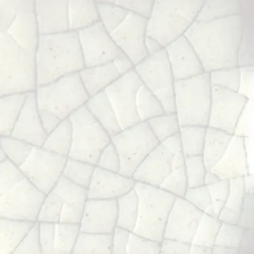 1589242.jpg
