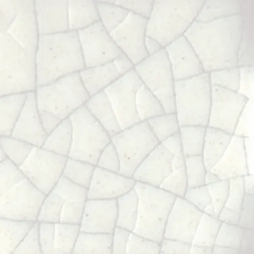 1589242.jpg