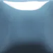 1589218.jpg