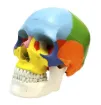 1589300.jpg