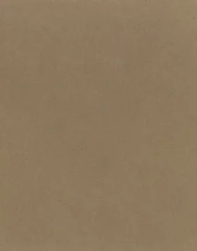 1591019.jpg