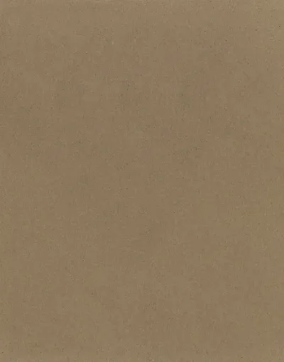 1591019.jpg