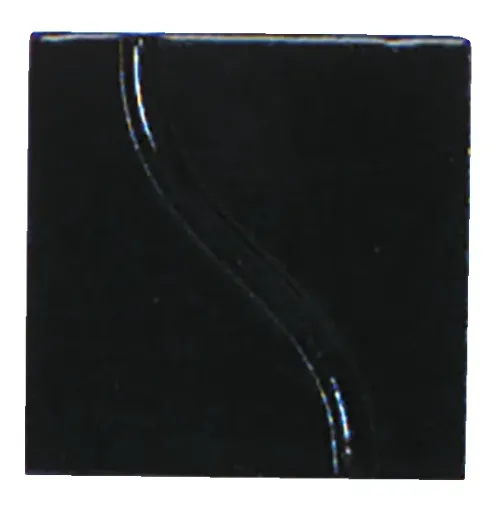 1570830.jpg