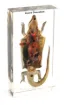 SS168605_1.jpg
