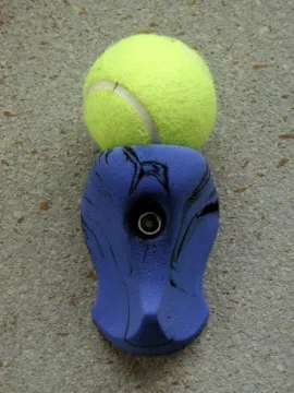 1574505.jpg
