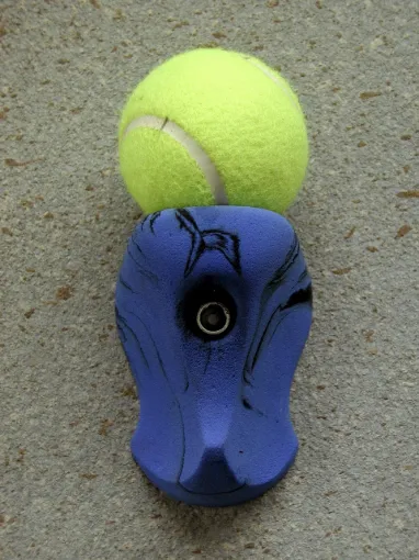 1574505.jpg