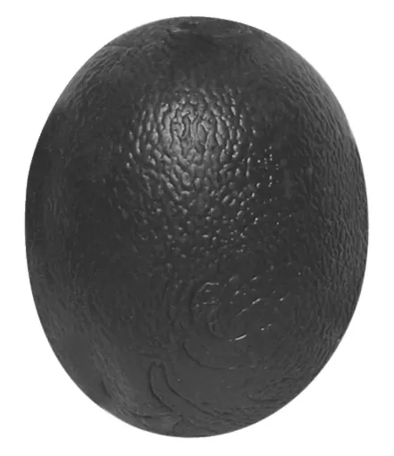 1580896.jpg