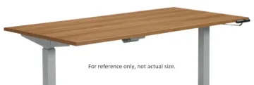 5003198.jpg
