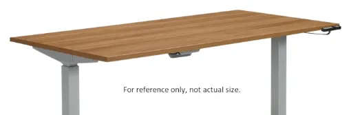 5003204.jpg
