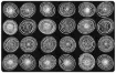 SS190654_1.jpg