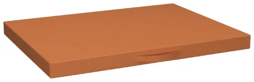 5004742.jpg