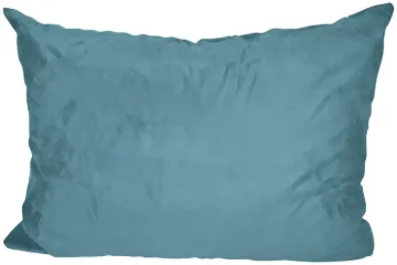 5008609.jpg