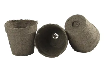 160-3304.jpg