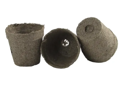 160-3304.jpg