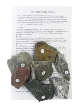 181-0877.jpg