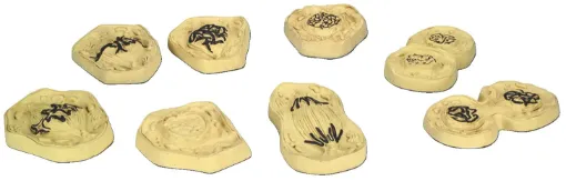 30-1390.jpg