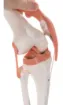 576431_3.jpg