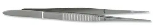 583149.jpg