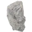 586204.jpg