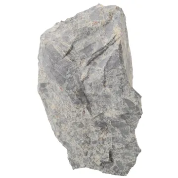 586204.jpg