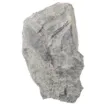 586207_1.jpg