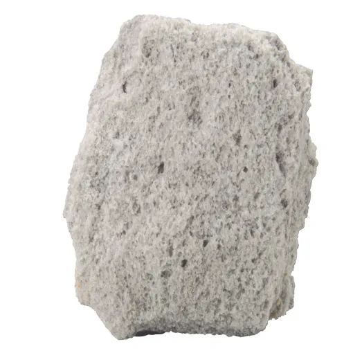 586318.jpg