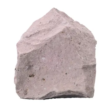 586345.jpg