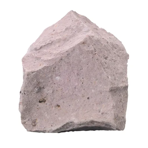 586342.jpg