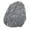 586462.jpg
