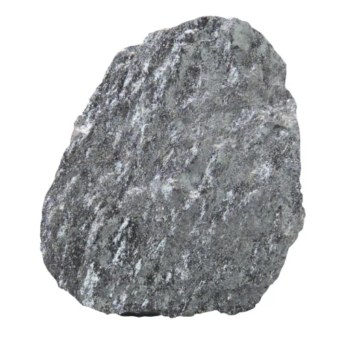 586462.jpg