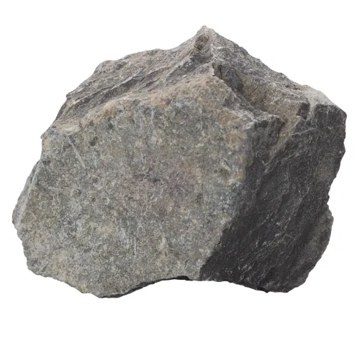 586477.jpg