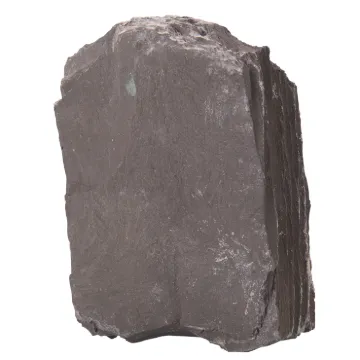586498.jpg