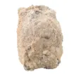 586558.jpg