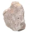 586591_1.jpg