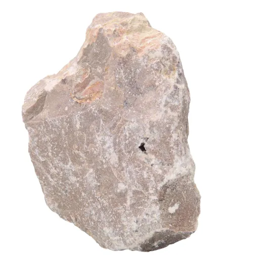 586594.jpg