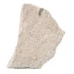 586615.jpg