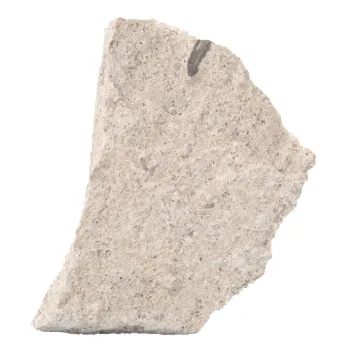 586615.jpg