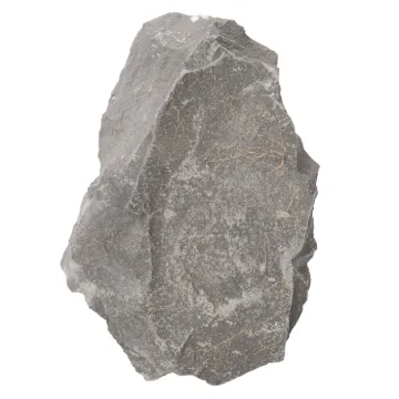 586666.jpg