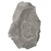 586660_1.jpg