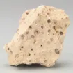 586771.jpg
