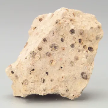 586771.jpg