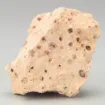 SS143509_1.jpg