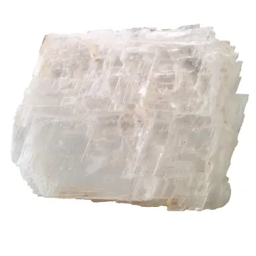 587005.jpg