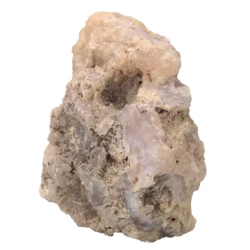 587317.jpg