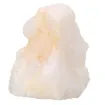 587350.jpg