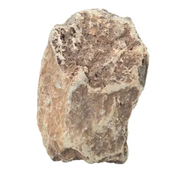 587416.jpg