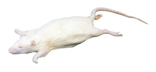 588580_1.jpg