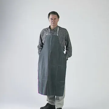 589209.jpg